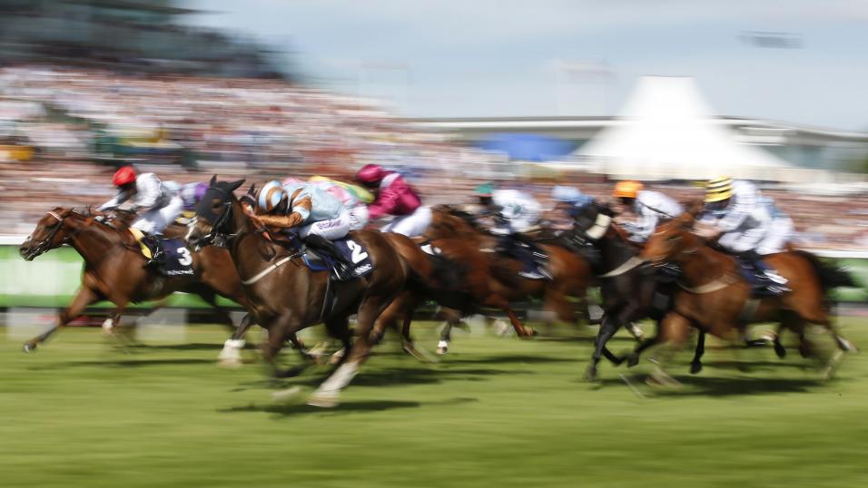 Horses at Epsom